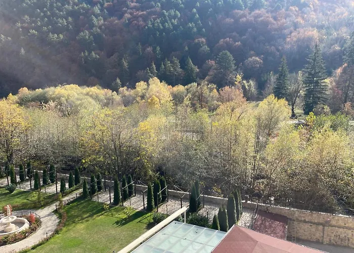 мия 3 свети спас Daire *